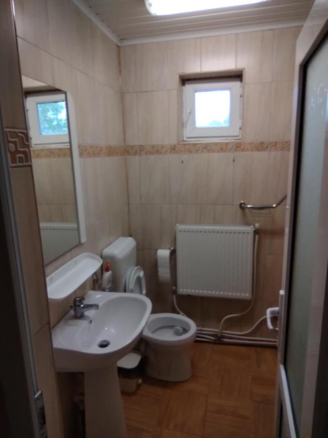 Pensiunea Casa Didina Bacău Exterior foto