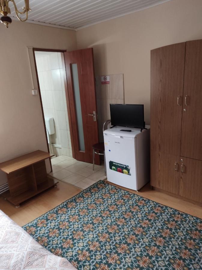 Pensiunea Casa Didina Bacău Exterior foto